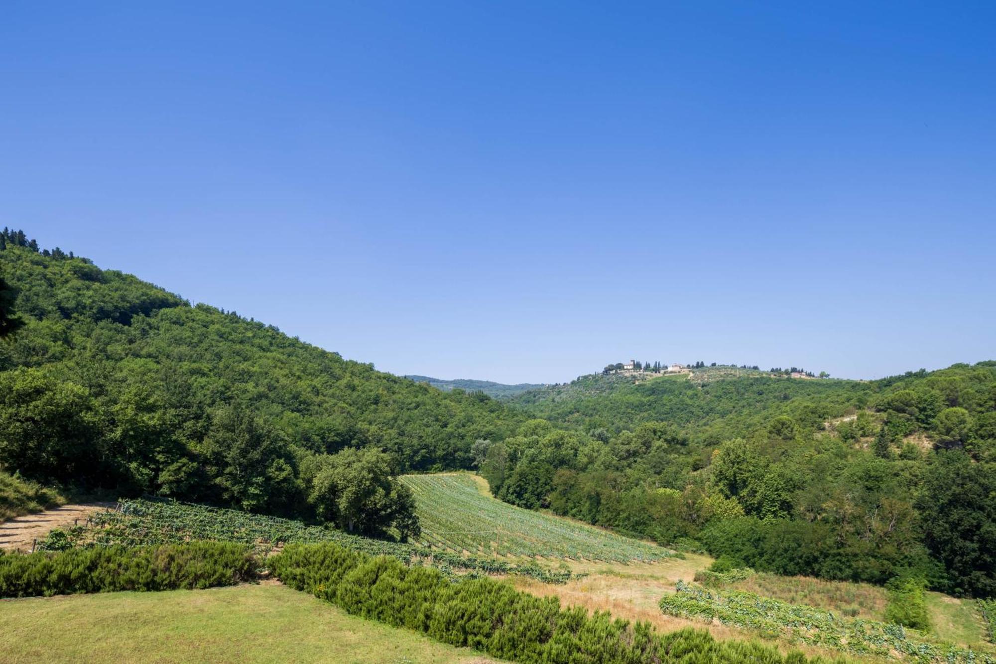 Foresteria Castello Di Verrazzano Greve in Chianti Eksteriør bilde